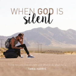 When God is Silent (MP3)
