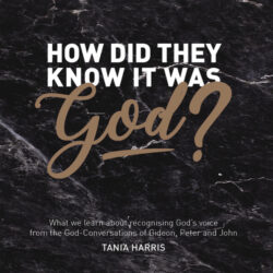 How Did They Know it was God? (MP3 Series)