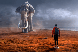 Dreaming man looking at elphant