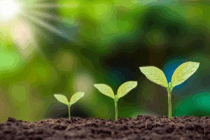 The Spirit In Spiritual Formation