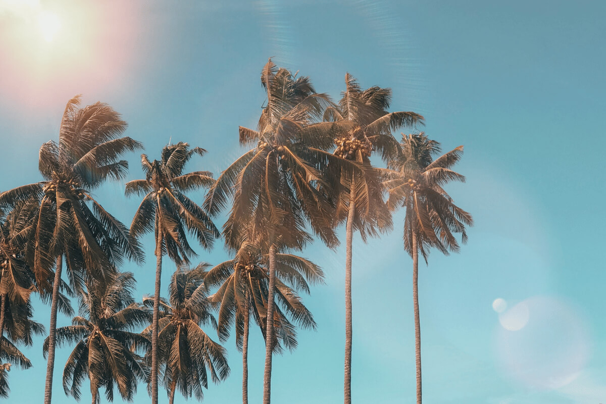 2024 Summer Playlist (1200x800px)