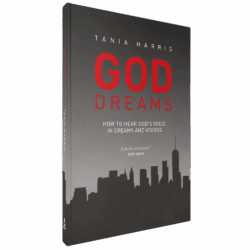 God Dreams: the Book